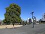 公園　川口西公園（公園）まで630m