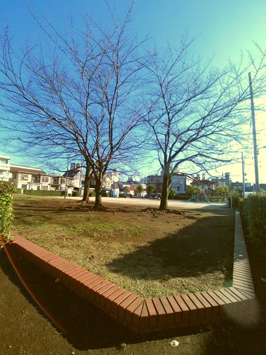 公園　氷川上田公園（公園）まで420m