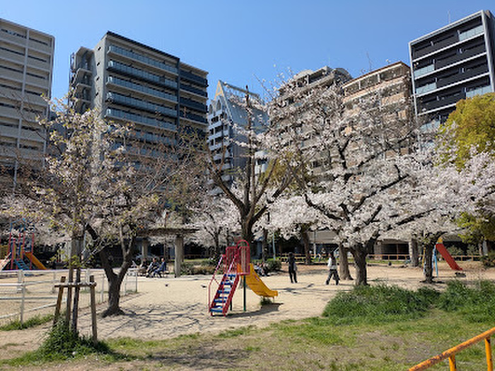 公園　江戸堀公園（公園）まで20m