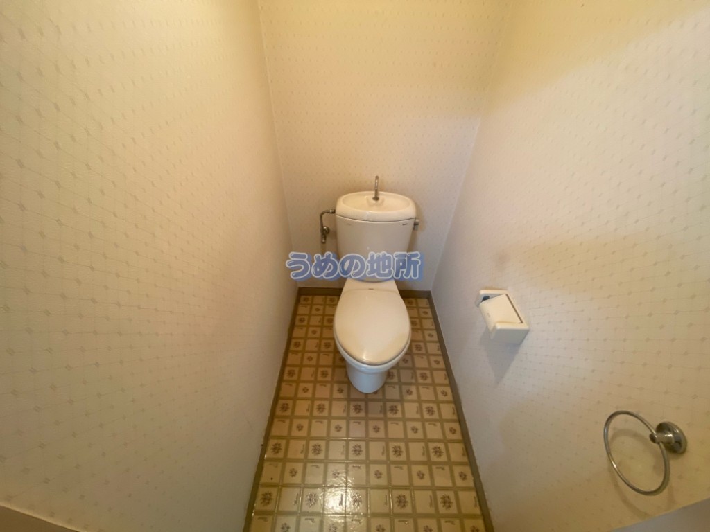 ＪＲ鹿児島本線 久留米駅 徒歩30分 4階建 築41年のトイレ写真