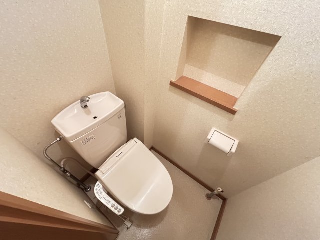 セリエIIのトイレ写真