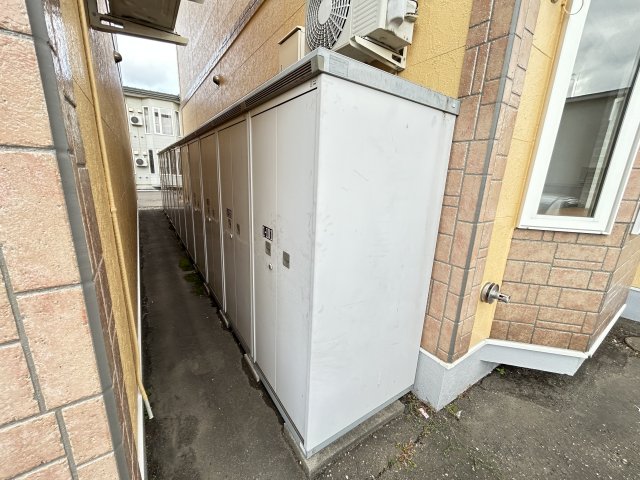 セリエIIのその他写真
