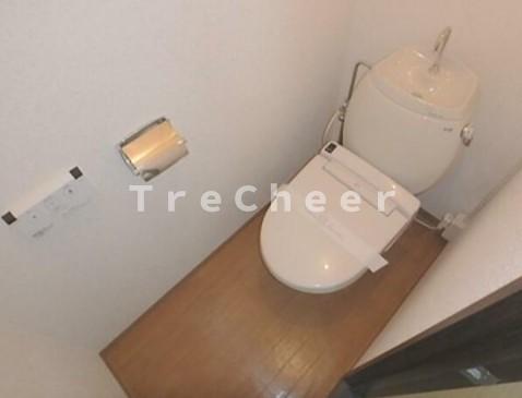 東急目黒線 奥沢駅 徒歩10分 2階建 築43年のトイレ写真