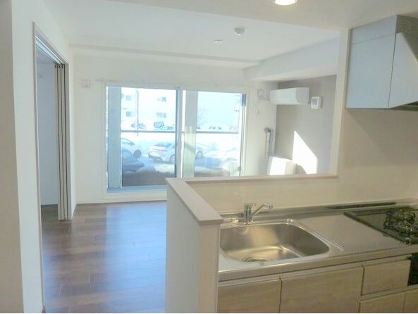 Apt.1 punana meliのキッチン写真