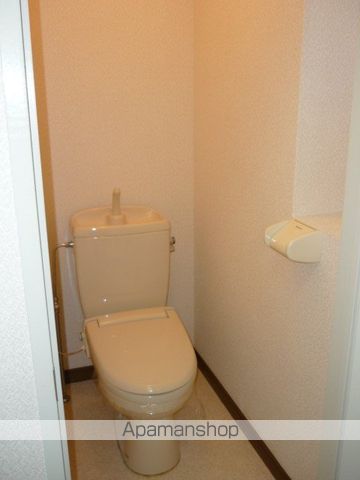 FLATS MARUICHIのトイレ写真