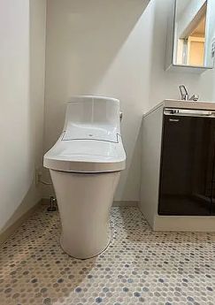 トイレ　参考写真：別部屋タイプ