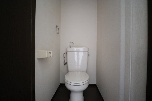 イーストヒルズ芳窪のトイレ写真