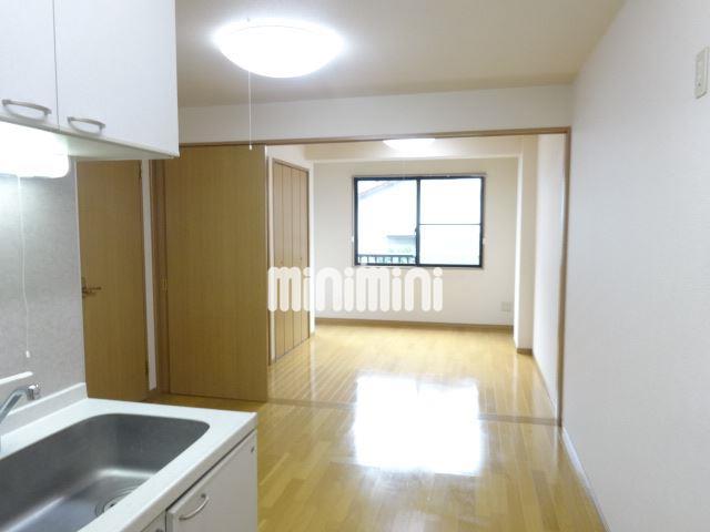 居室・リビング　照明器具付のお部屋です
