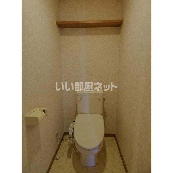 メゾンルミエールIIのトイレ写真