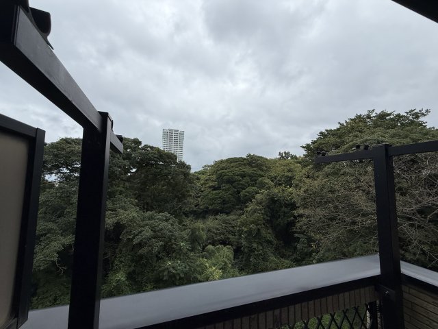眺望　緑豊かで心落ち着きます！