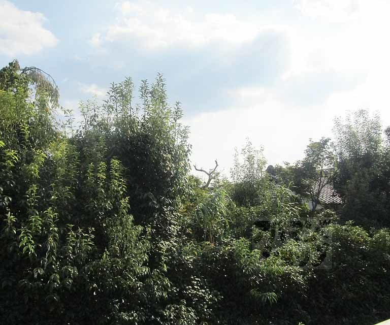 眺望　２０２号室の写真です。