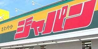 スーパー　ディスカウントセンター ジャパン 和泉箕形店（スーパー）まで900m