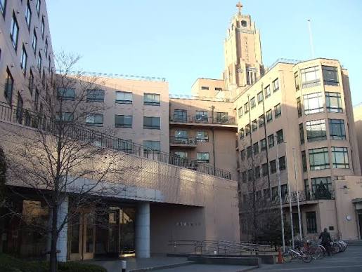 大学・短大　私立聖路加国際大学（大学・短大）まで432m