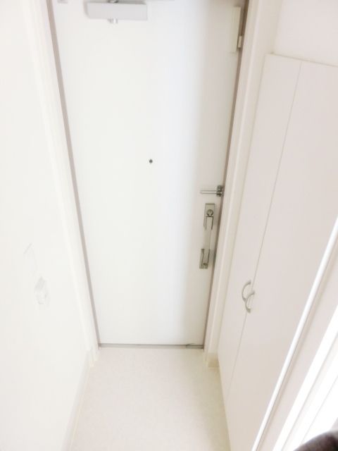 玄関　シューズボックス付きの玄関