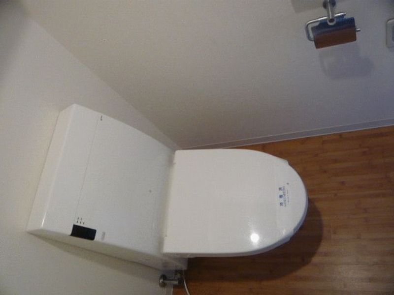 アーバンドック パークシティ豊洲 タワーAのトイレ写真