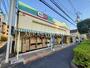 ドラックストア　ドラッグセイムス 太田窪店（ドラッグストア）まで528m