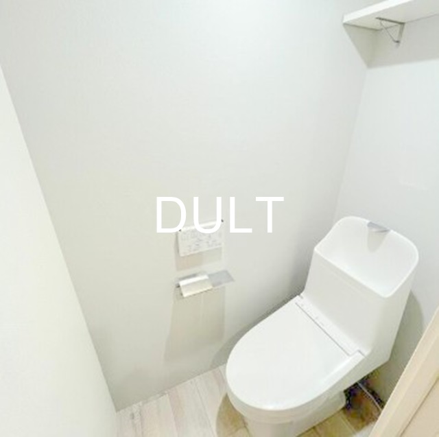 ＪＲ山手線 駒込駅 徒歩7分 5階建 築7年のトイレ写真