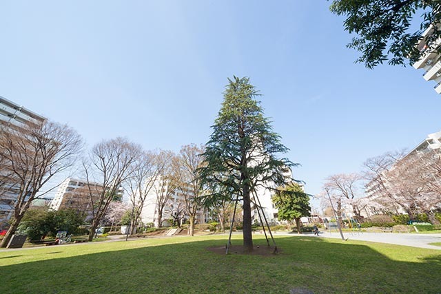 UR武蔵野緑町パークタウンの外観写真