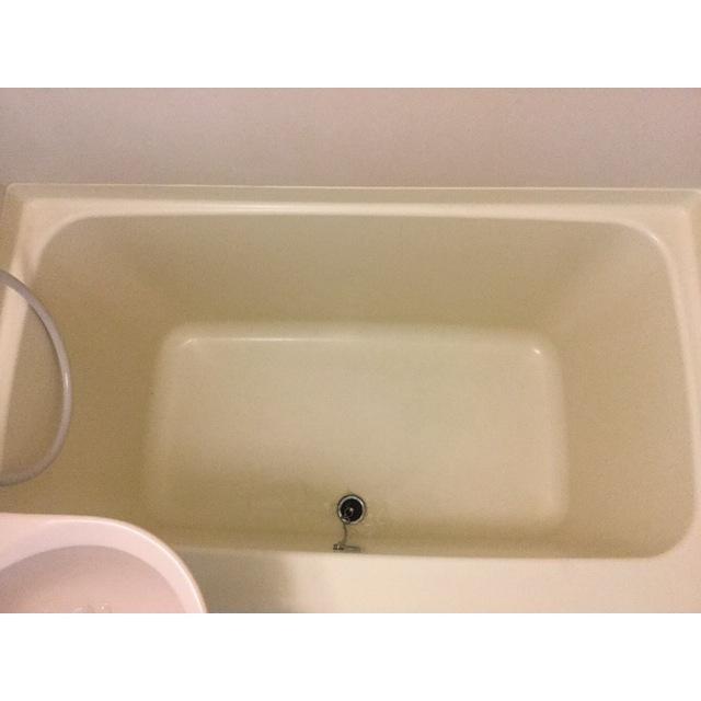 リブレス春日部IIの風呂写真
