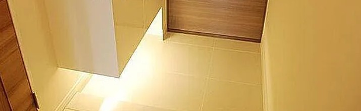 玄関　アデニウム新橋