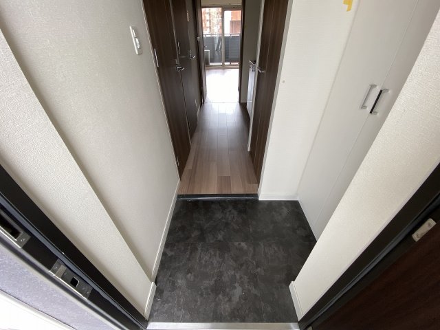 玄関　カラータイプは異なります。