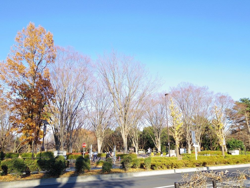 【小金井市中町のマンションの公園】