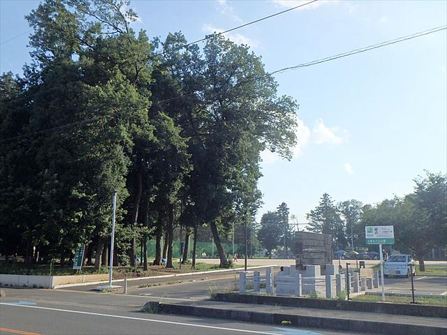 公園　小泉氷川山公園（公園）まで250m