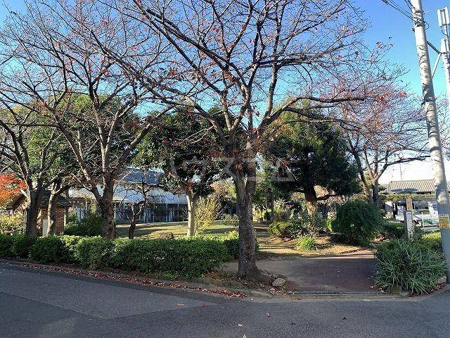 公園　本一色三丁目公園（公園）まで590m