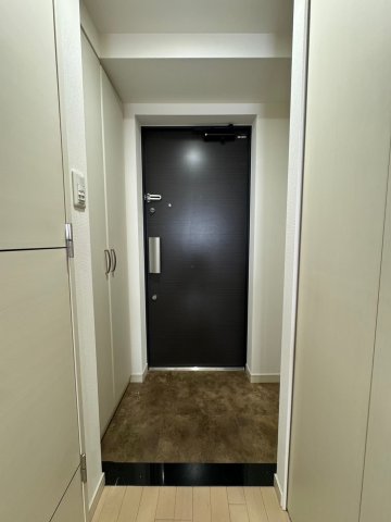 プレサンス心斎橋ザ・スタイルの玄関写真