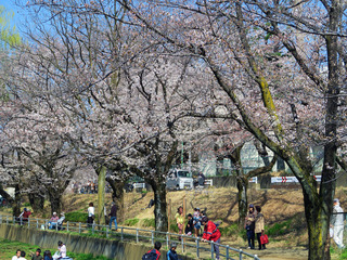 【霜月荘の公園】