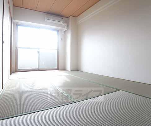 居室・リビング　南向きで日当たり良好