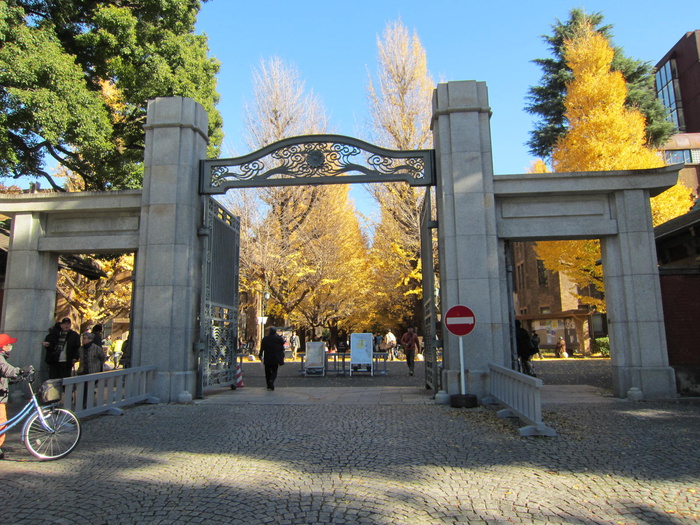 大学・短大　東京大学（大学・短大）まで571m