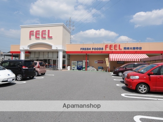 スーパー　ＦＥＥＬ岡崎大樹寺店（スーパー）まで1300m