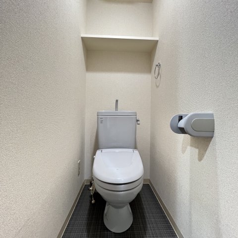 トイレ　同仕様タイプです