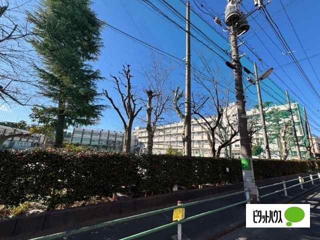 中学校　葛飾区立綾瀬中学校（中学校）まで555m