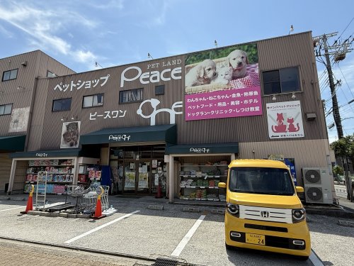 その他　ペットショップペットランド　ピースワン東住吉店（その他）まで4406m