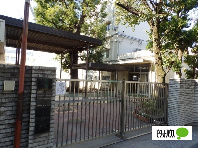 小学校　横浜市立南小学校（小学校）まで264m