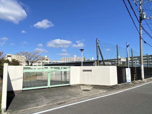 小学校　堺市立福泉東小学校（小学校）まで183m