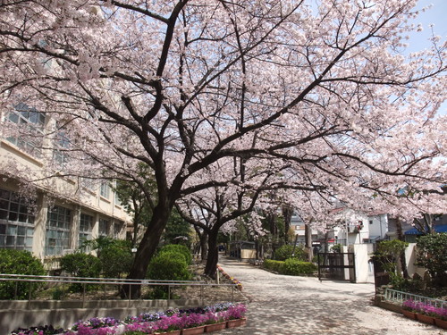 中学校　尼崎市立園田中学校（中学校）まで1401m