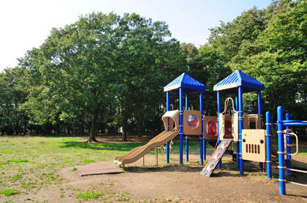 公園　柏ビレジ近隣公園（公園）まで460m