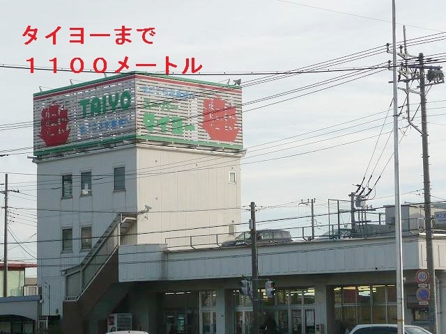 その他　タイヨー（その他）まで1100m