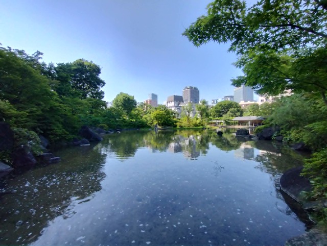 その他　柳町公園