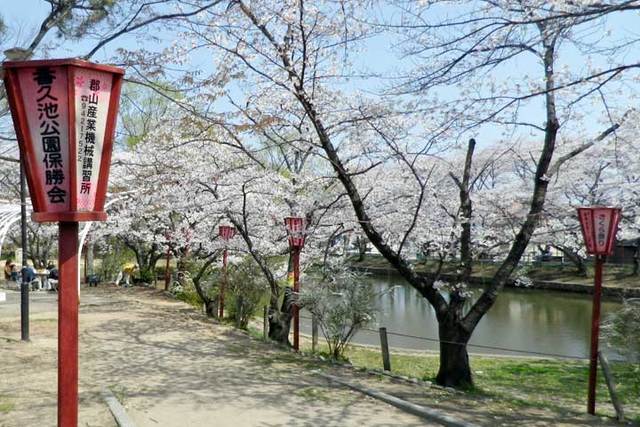 【ニューテラス伊勢の公園】