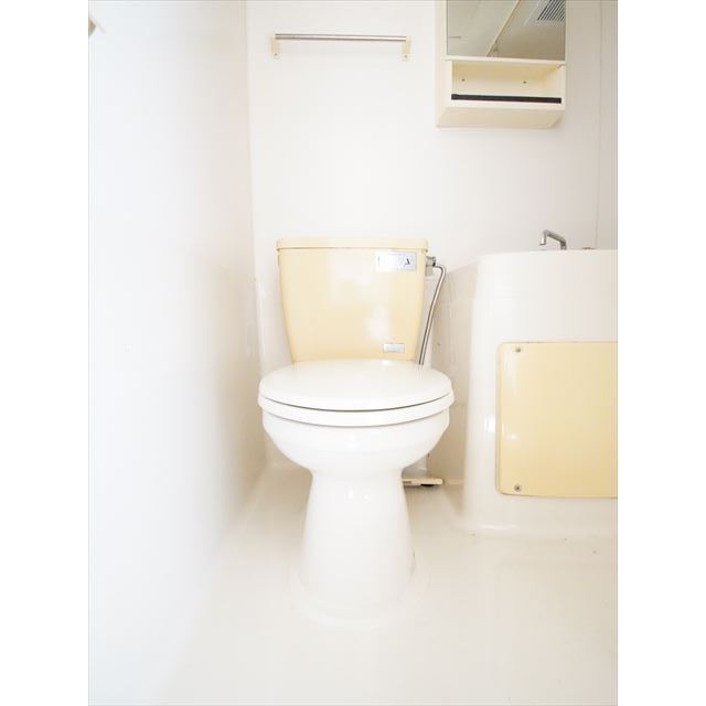ハイツサキのトイレ写真
