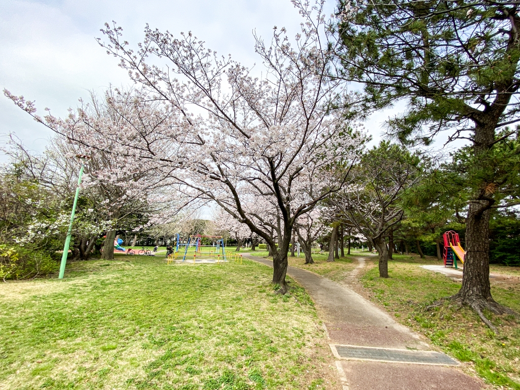 【美浜東エステート7号棟の公園】