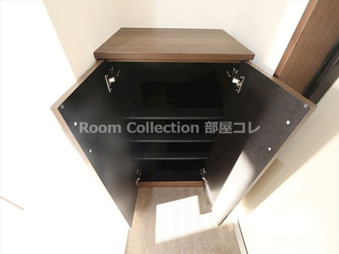 玄関　※同物件他部屋写真 反転の場合有