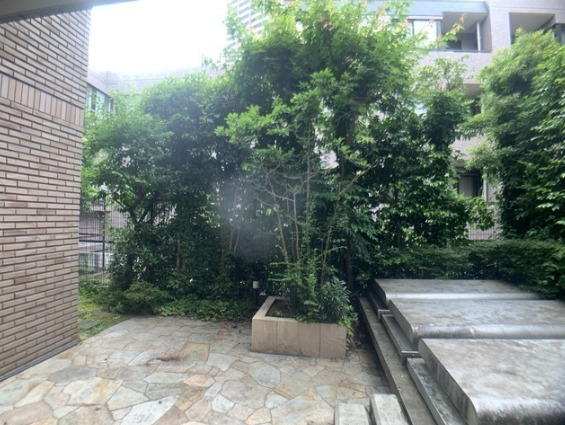 庭