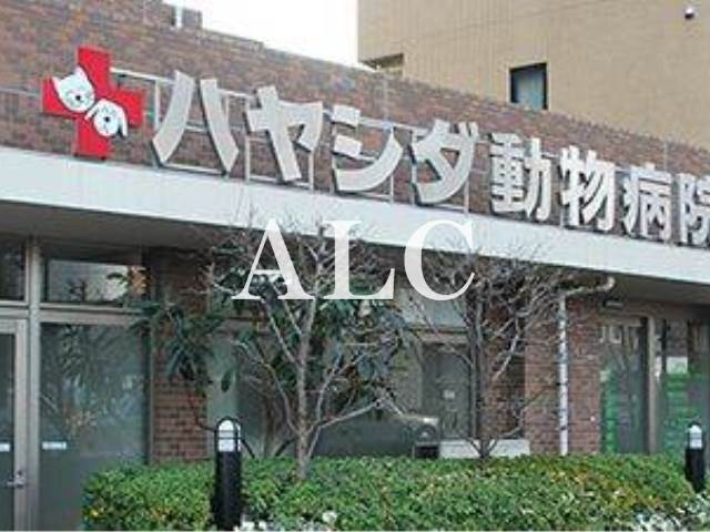 病院　ハヤシダ動物病院（病院）まで208m
