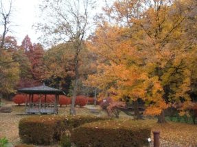 公園　岐阜県百年公園（公園）まで5670m