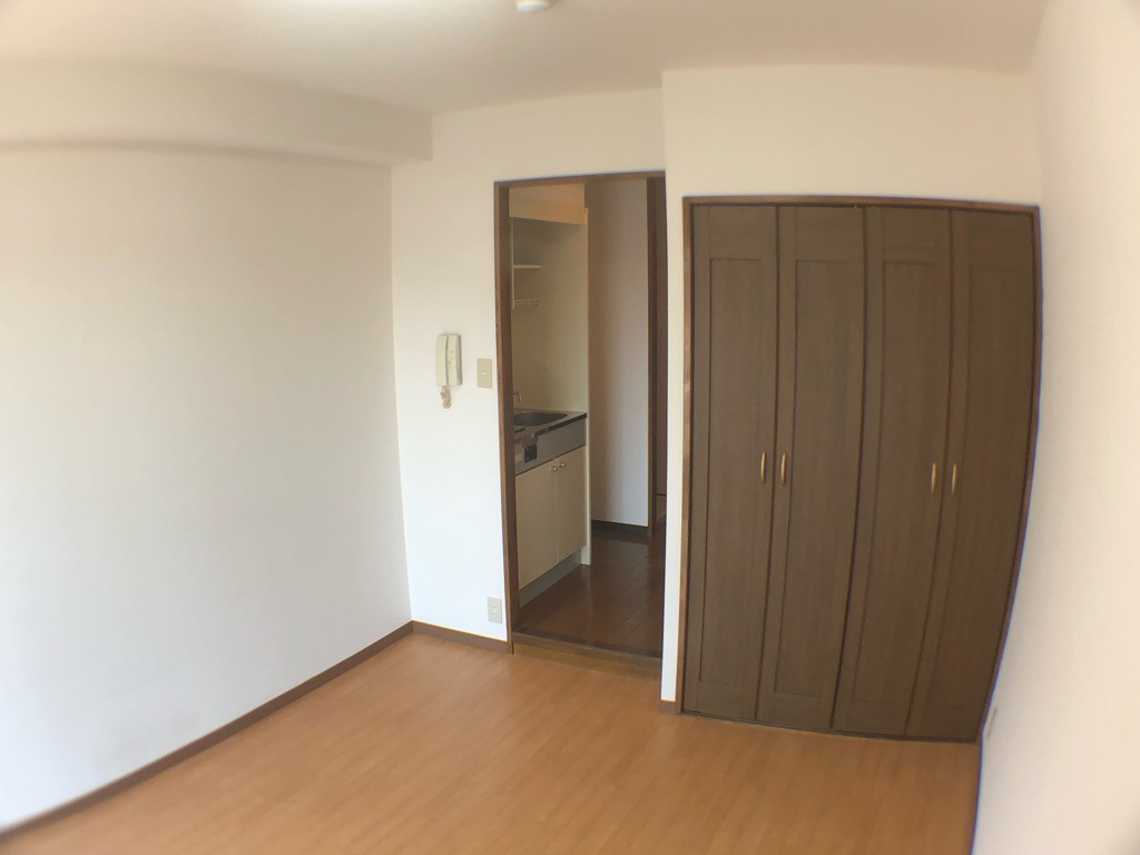 居室・リビング　南向きで日当たり良好なお部屋です。